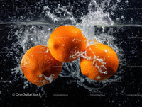 Fresh Kumquat Fruits Splashing in Water with Dynamic Motion