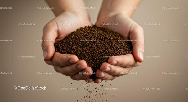 Close-up of hands holding loose soil granules