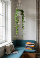 Indoor Ivy Plant in Macrame Hanger in Cozy Corner with Books and Cushion