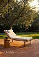 Elegant Sunlit Garden Lounge Chair with Side Table and Succulent