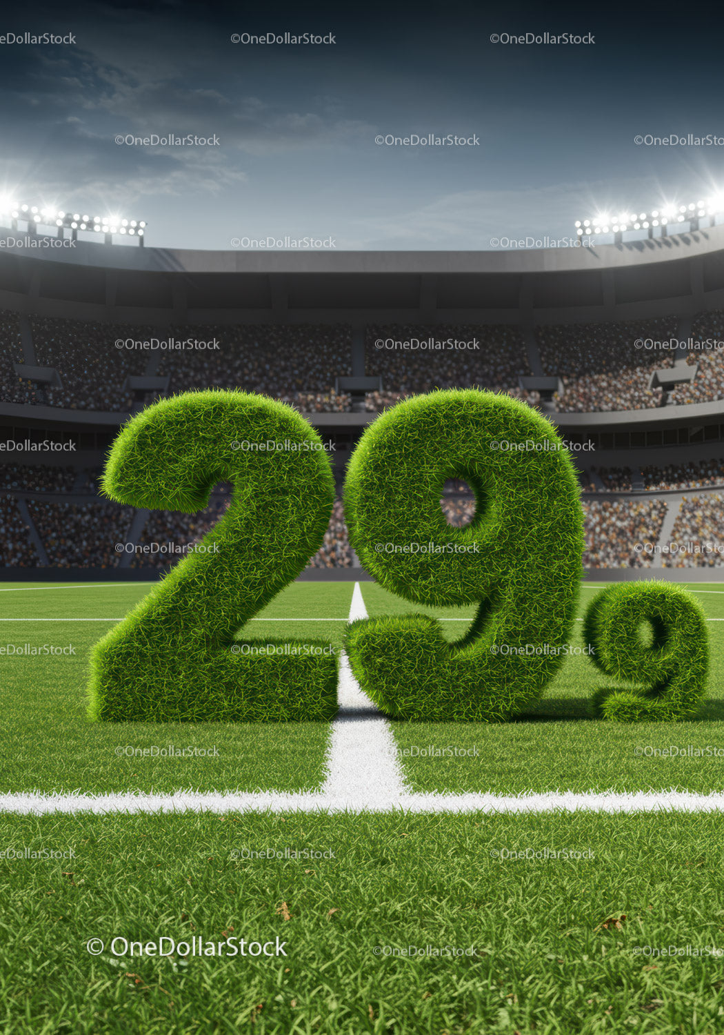 Green grass numbers 29.9 on stadium field