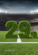 Green grass numbers 29.9 on stadium field