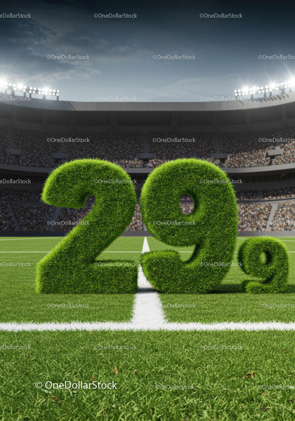 Green grass numbers 29.9 on stadium field