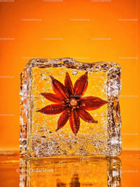Star anise frozen inside a clear ice cube with warm orange background