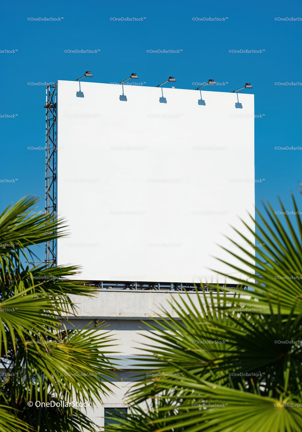 Blank Billboard Mounted Above Building with Palm Trees