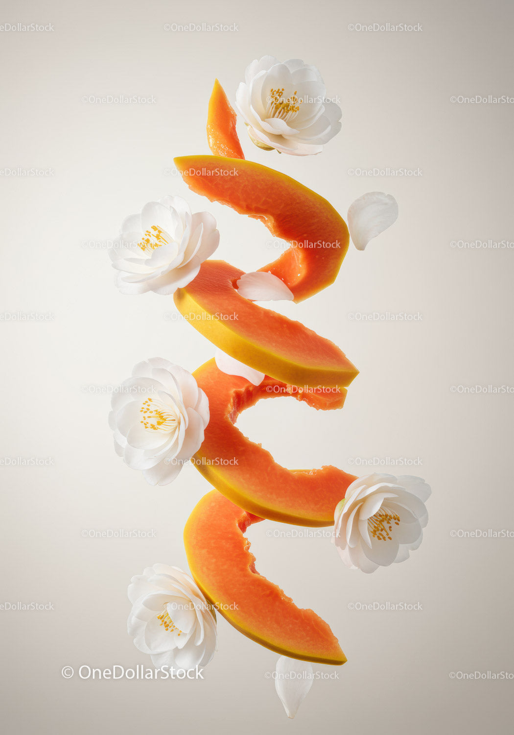 Floating Slices of Papaya with Delicate White Flowers