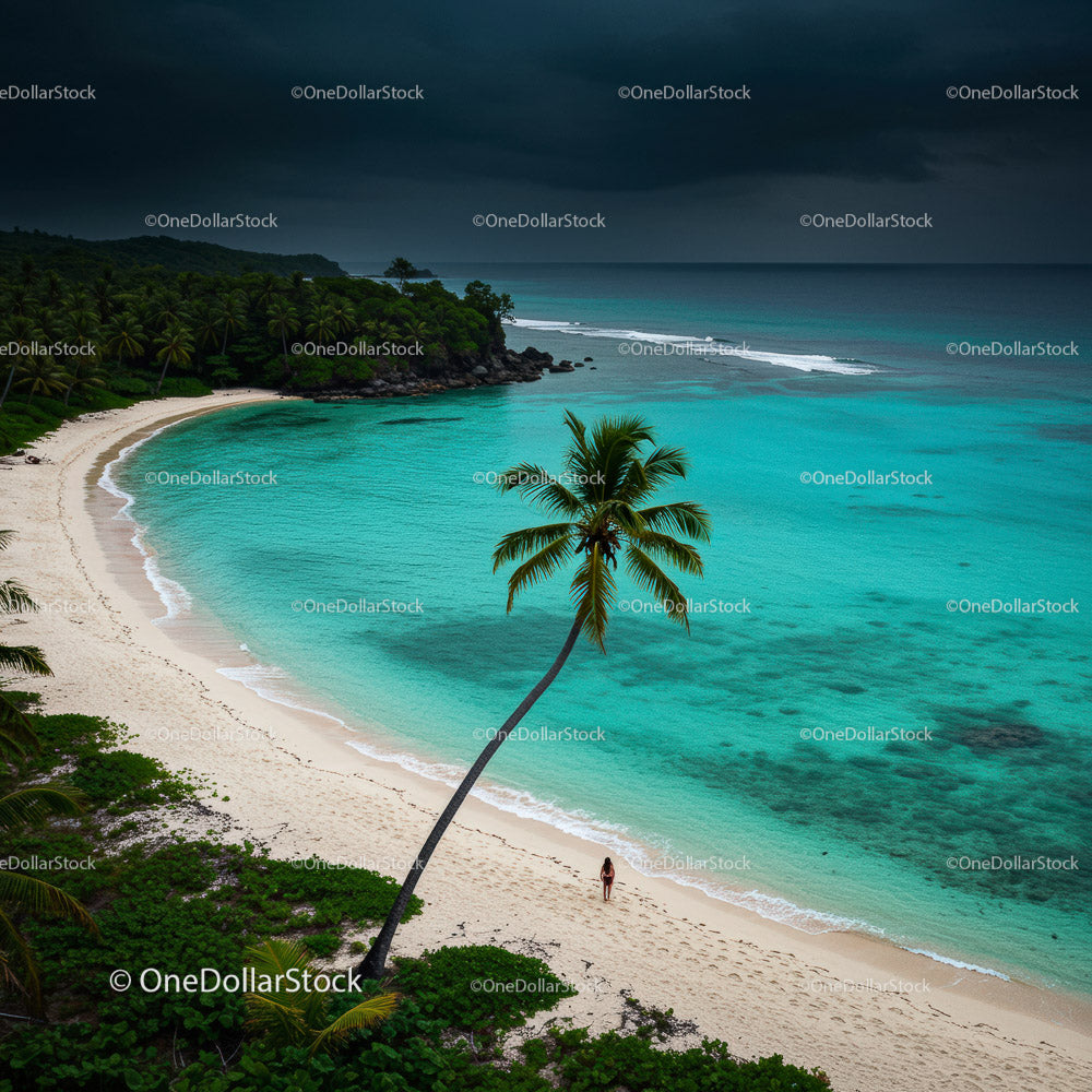 Serene Tropical Beach with Palm Tree and Turquoise Waters