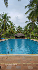 Luxurious Tropical Resort Swimming Pool with Palm Trees and Scenic Landscape