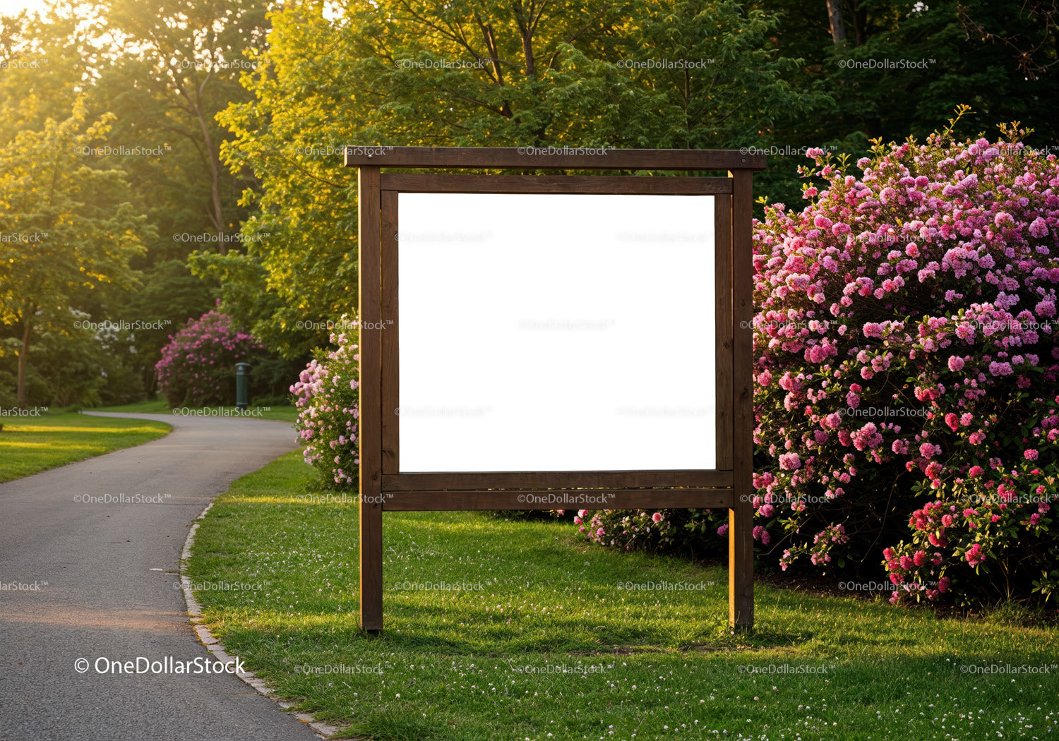 Blank wooden signboard in sunlit park with blooming bushes