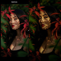 Dark Night Portrait XMP presets color grading preview