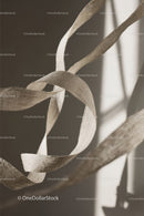 Close-up of White Plastic Ribbon Waste on Sandy Beach