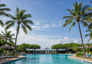 Tropical Resort with Pool and Palm Trees on a Sunny Day