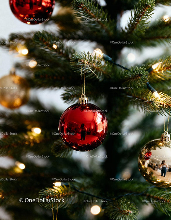 Close-up of red and gold baubles on Christmas tree