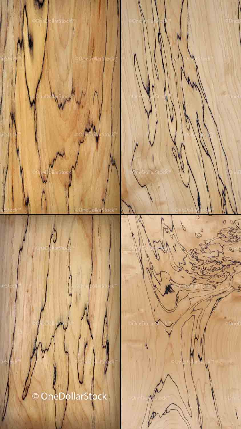 Spalted Maple Wood 16 PNG Files digital asset preview