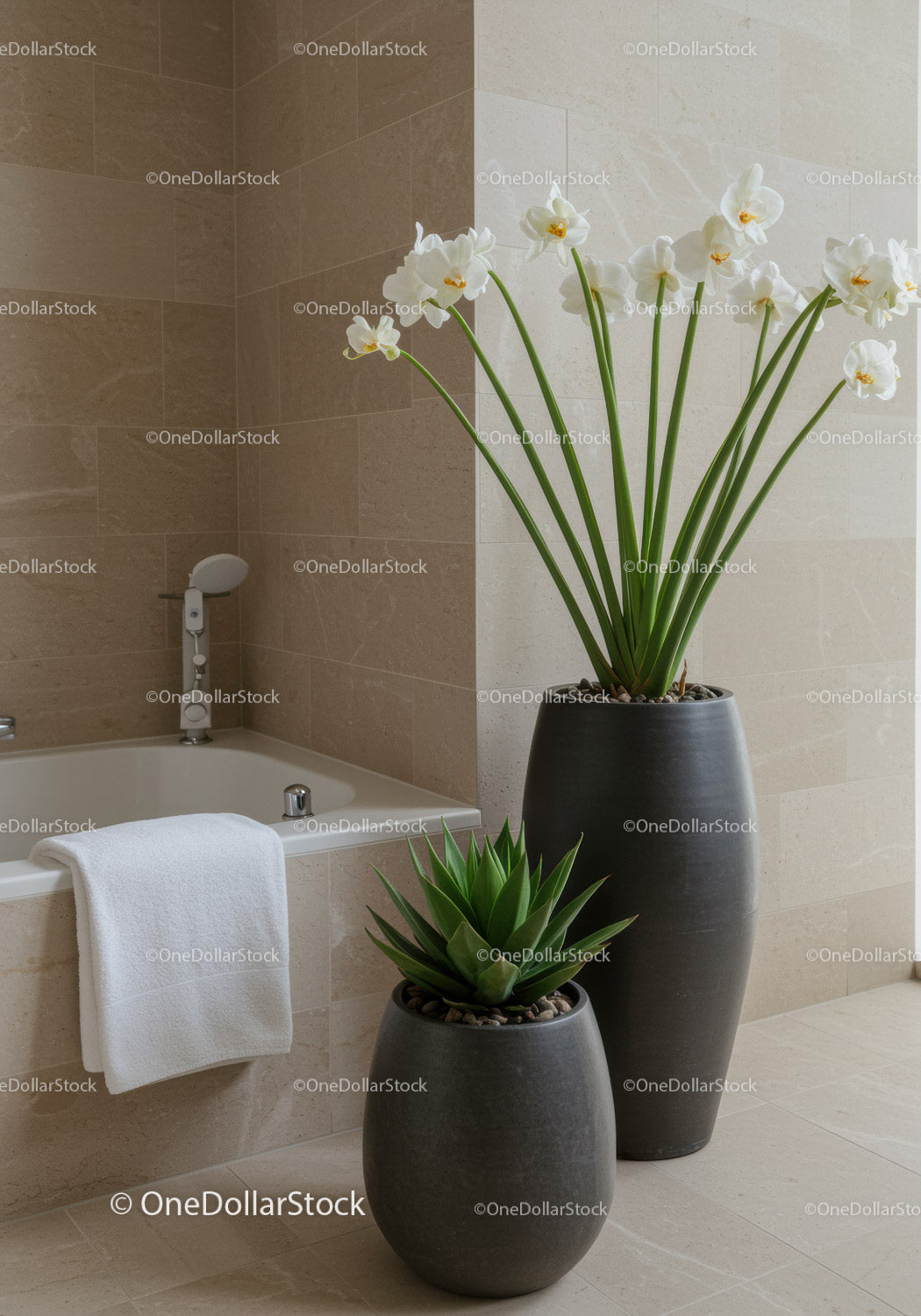 Eleganckie rośliny orchidei w nowoczesnym, beżowym wystroju łazienki