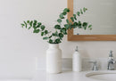 Green Eucalyptus Plant in White Vase Decorates Modern Bathroom
