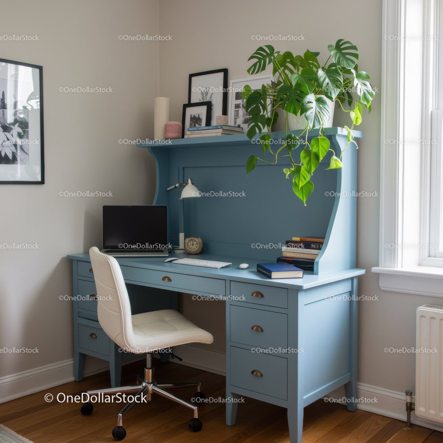 Modern Blue Wooden Desk with Green Indoor Monstera Plant in Bright Home Office