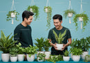 Young men enjoying indoor gardening with vibrant plants