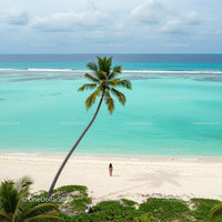 Lonely Traveler on a Tropical Beach Under a Palm Tree