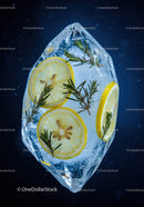 Lemon Slices and Rosemary Frozen Inside Clear Ice Cube