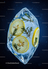 Lemon Slices and Rosemary Frozen Inside Clear Ice Cube