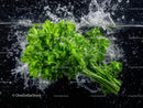 Fresh Green Parsley Herb Over Water Splash Dynamic Close-Up