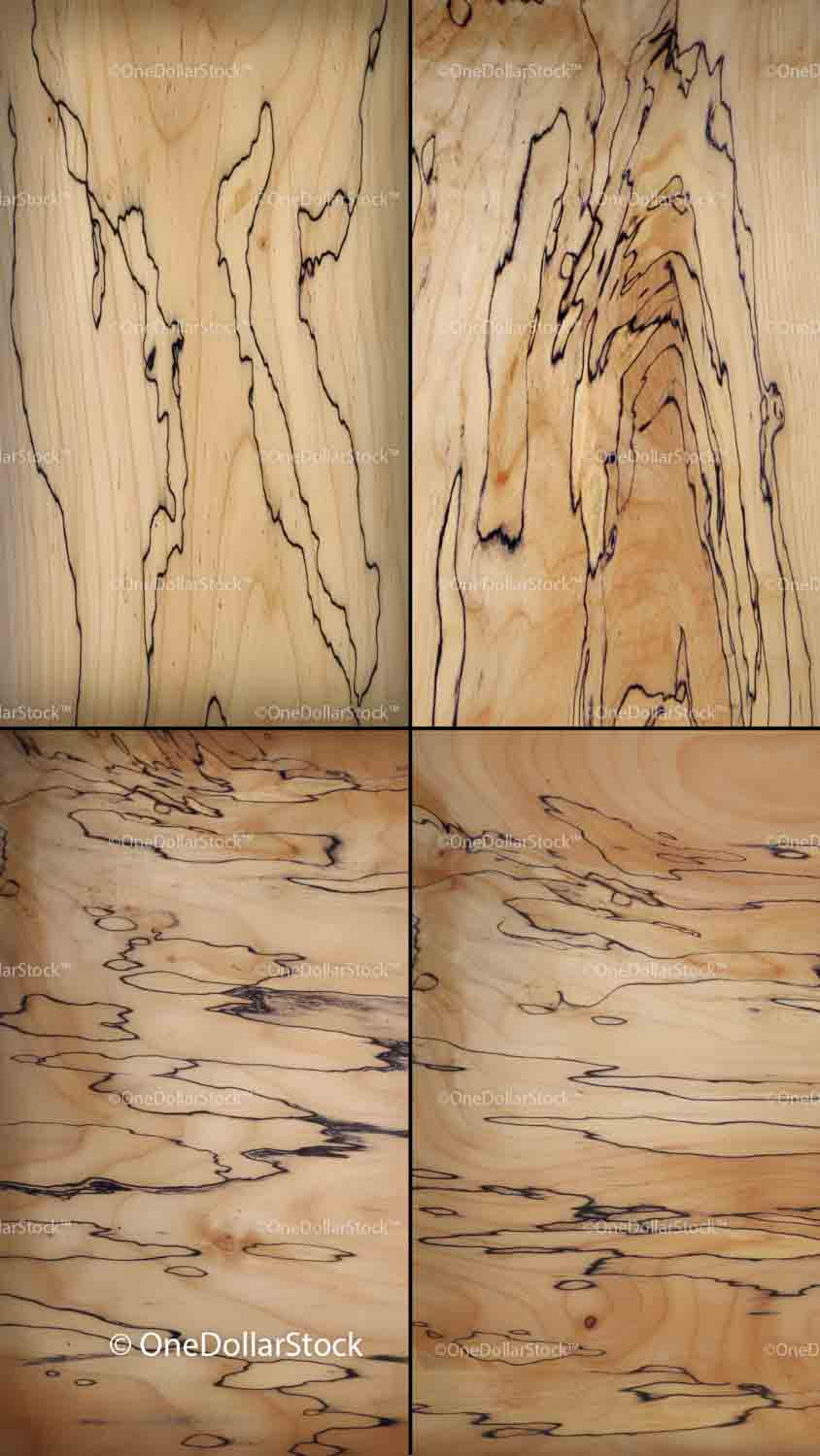 texture background made with Spalted Maple Wood Textures