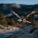 Bald Eagle in Flight Over Scenic Mountain Landscape