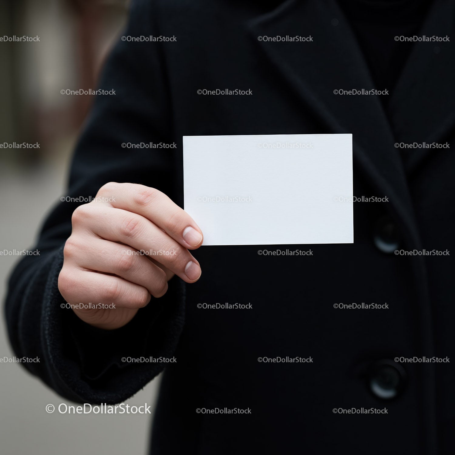 Person Holding Blank White Business Card in Black Coat