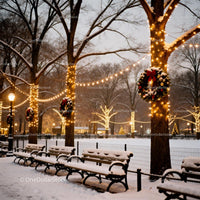 Snowy Park Benches with Festive Holiday Lights