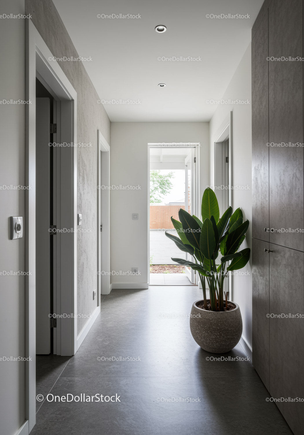 Modern Minimalist Hallway with Green Houseplant and Natural Light