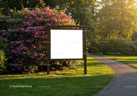 Sunny park walkway with flowering pink shrubs and signboard