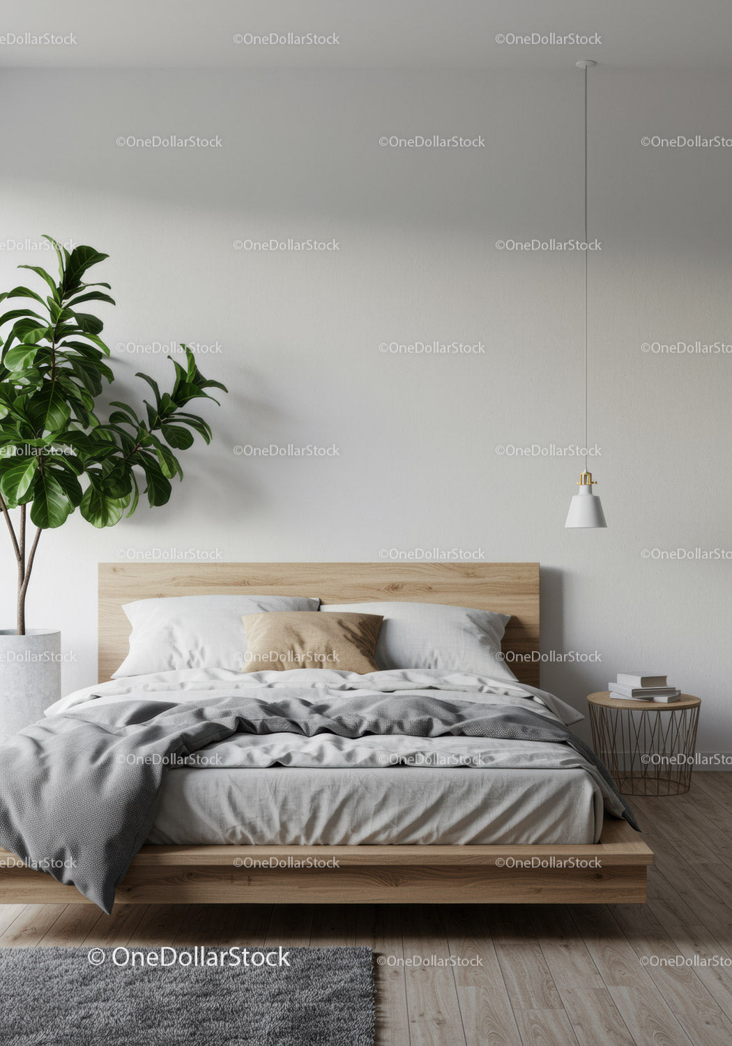 Minimalist Bedroom with Wooden Bed Frame and Indoor Plant