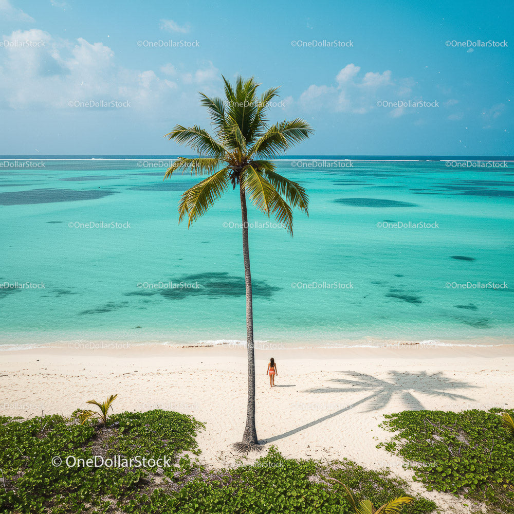 Lonely Traveler on a Tropical Beach Under a Palm Tree