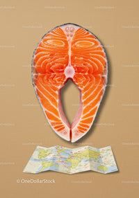 Fresh salmon steak with a folded world map below