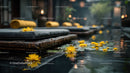 Yellow Flower Petals Floating on a Calm Water Surface in Outdoor Setting