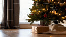 Christmas gift under decorated tree with warm lights