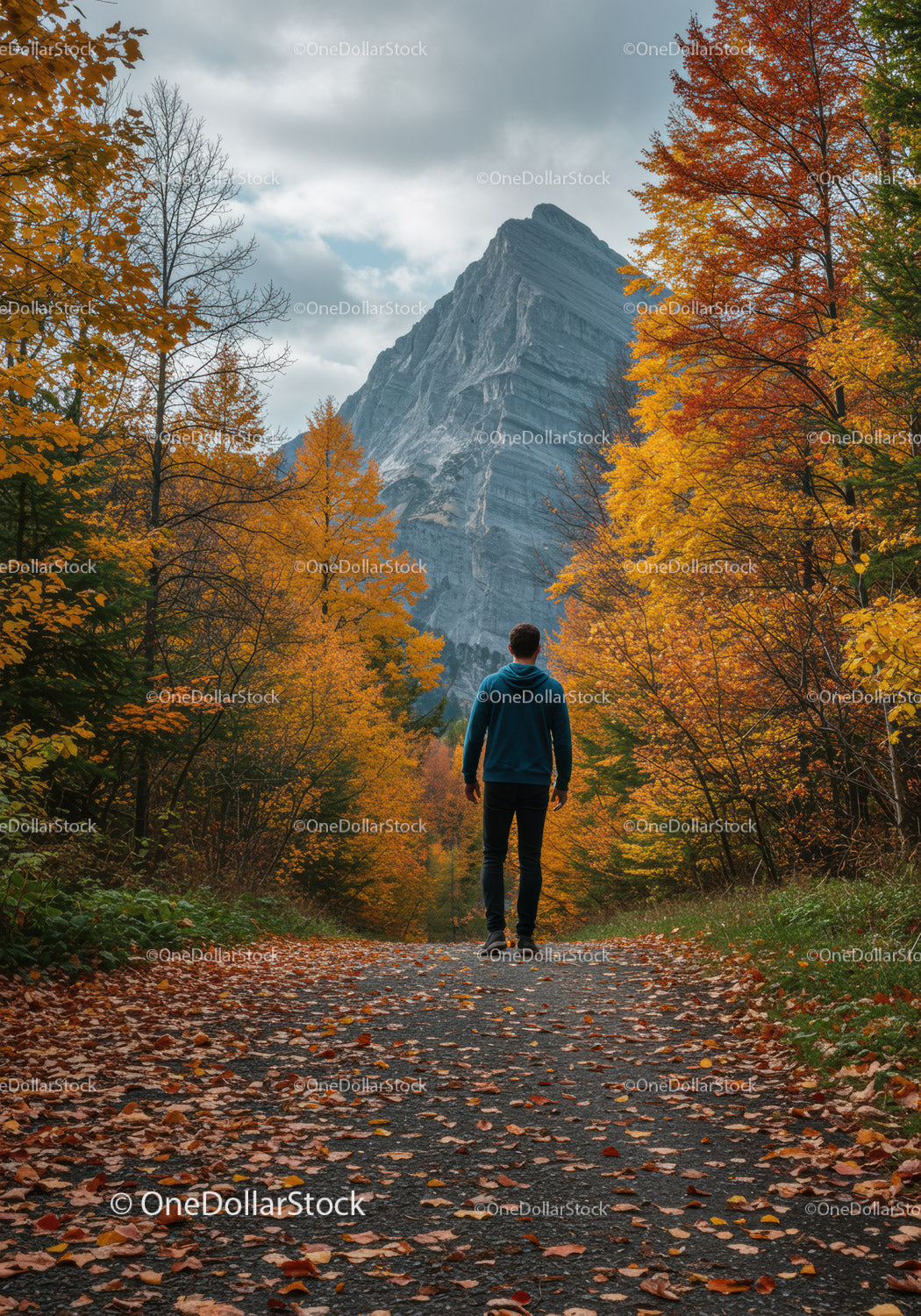 Man Walking on Autumn Trail Towards Mountain Peak