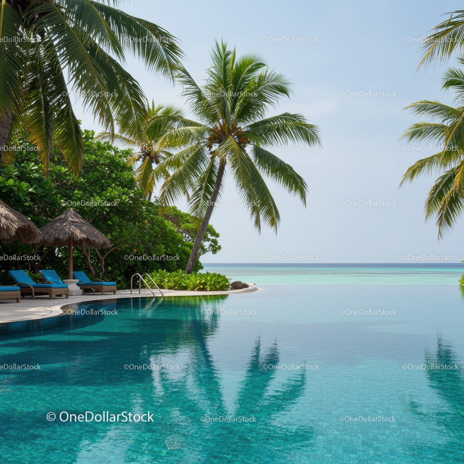 Tropical Beach with Infinity Pool and Palms Overlooking Ocean