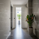 Modern Minimalist Hallway with Indoor Plants and Natural Light