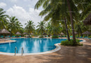 Tropical Swimming Pool Surrounded by Palm Trees and Thatch Umbrellas