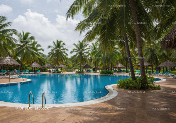 Tropical Swimming Pool Surrounded by Palm Trees and Thatch Umbrellas
