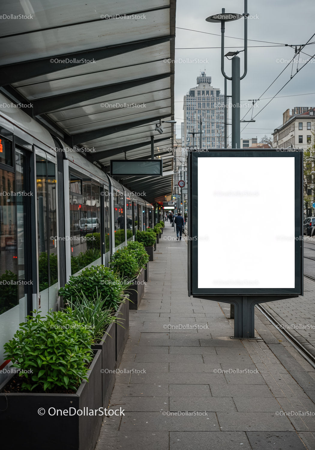 Przystanek tramwajowy z nowoczesną zielenią i pustym billboardem