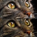 Before and after Shadowy Portrait Lightroom preset edit