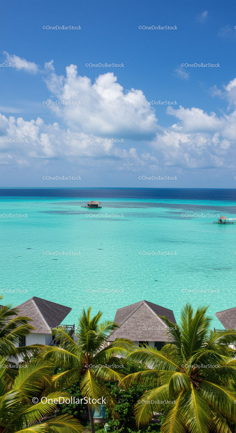 Tropical Overwater Bungalows and Palm Trees Along Pristine Ocean Shore