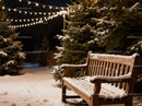 Snow-Covered Bench Among Pine Trees with String Lights
