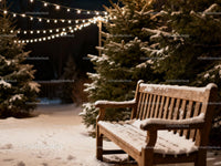 Snow-Covered Bench Among Pine Trees with String Lights