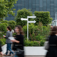 Urban garden with directional signpost amidst city bustle
