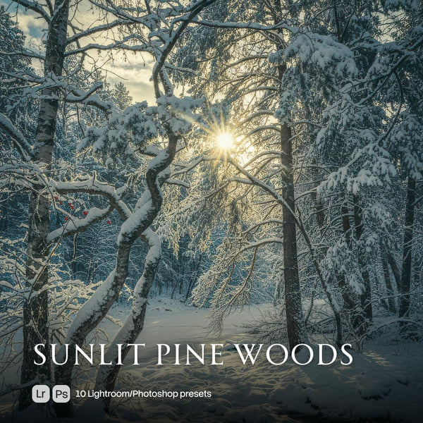Sunlit Pine Woods Presets (10 XMP files)