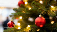 Red Christmas Baubles Hanging on Green Pine Tree